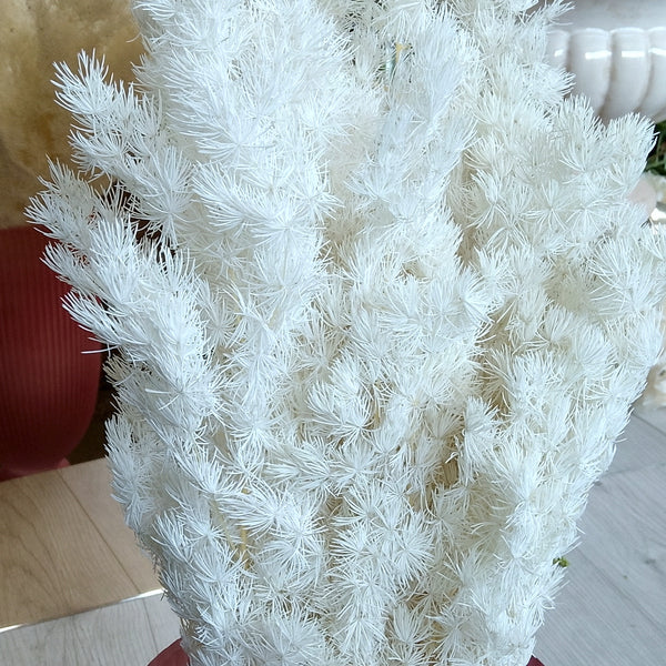 Ming Fern