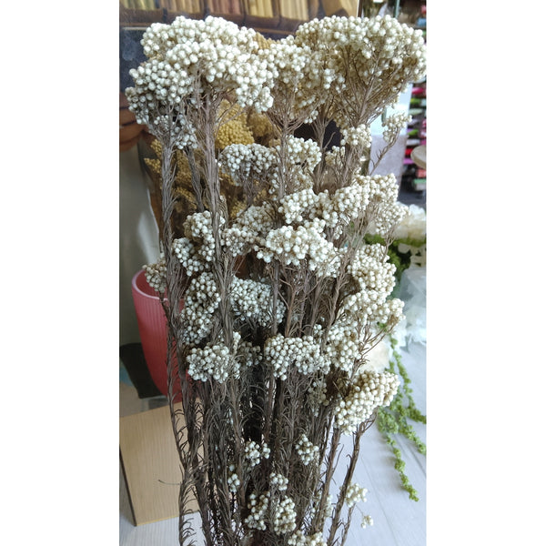 Fiori di riso naturale
