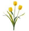 Tulipano x 3